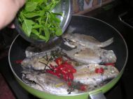 白鲳鱼和肉鲳鱼,白鲳鱼和肉鲳鱼哪种好