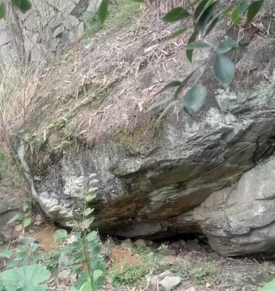 一个源于湖头10景之一“白濑溪声”命名乡村的故事