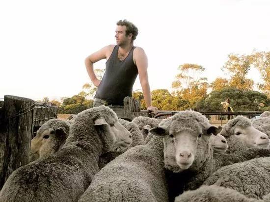 是什么让40000华人把澳洲药房搬空?甚至连仓库也不放过!