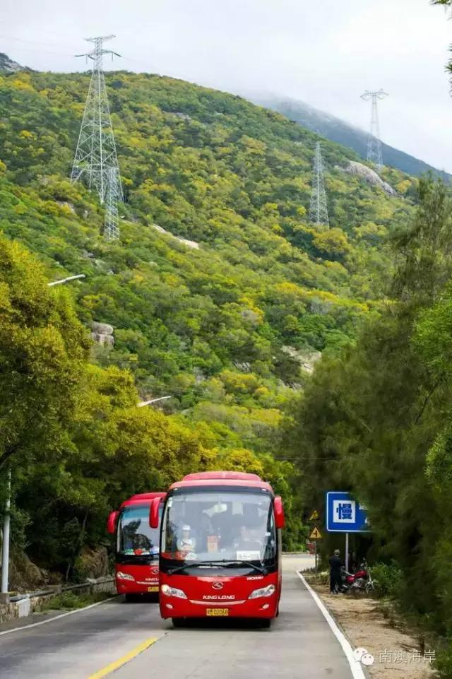 南澳海岛国家森林公园,黄花山------最美天然氧吧