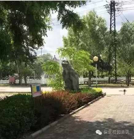 保定夏季“9所”最美大学校园