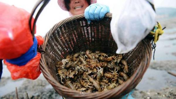西海岸灵山卫钓鱼的钓点,灵山卫海边钓鱼