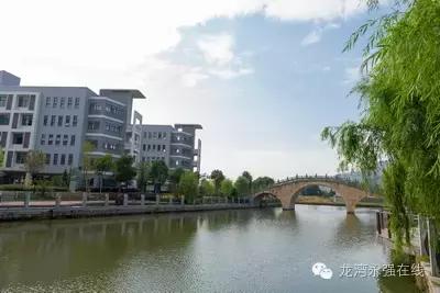 龙湾区有什么学校,龙湾公立学校排名