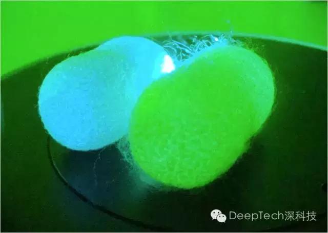 重磅:蚕宝宝吐蜘蛛丝，锻造转基因“生物钢材”