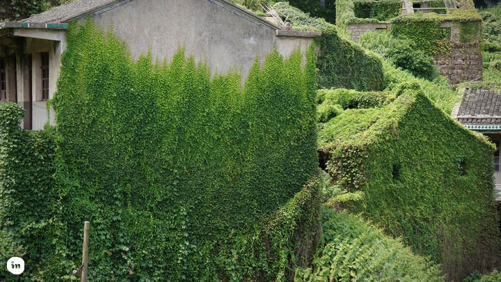 谁说旅行一定要去很远的地方,谁说去海边一定要去马尔代夫