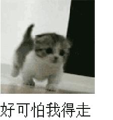 粉丝送华晨宇生日礼物排第几,粉丝送华晨宇豪车视频