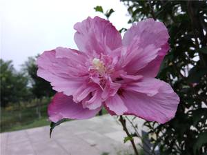 是否能够畅快用两天?360手机N4S全面评测!