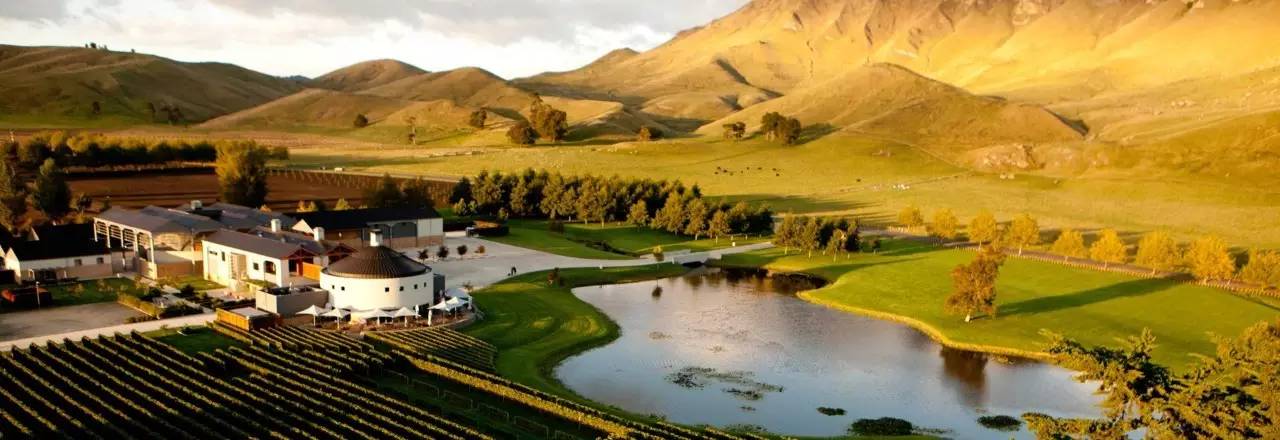 老中医蜂蜜系列,老中医生姜蜂蜜