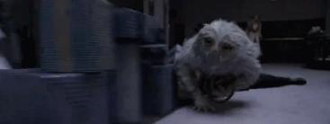 免费领取电影票优惠权益,300张电影票限时免费领