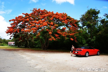 塞班岛自驾跑车游玩攻略,塞班岛自驾游最佳攻略