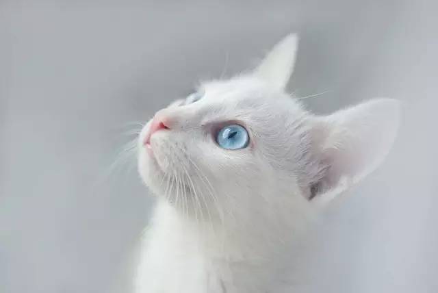 为了女儿卖化妆品,为了买东西什么话都敢说