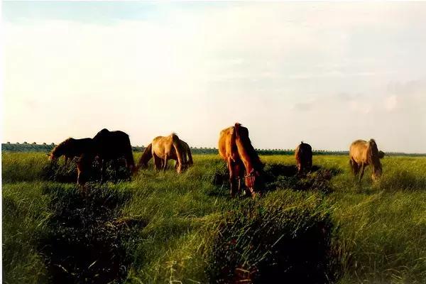 上海十大有意思的小众地方,上海五大超冷门景点却值得一去