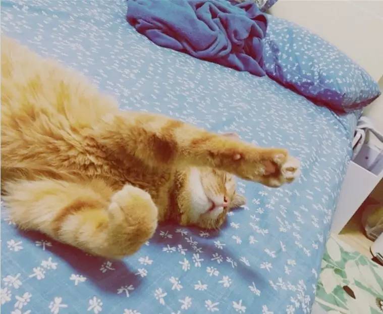 花小钱办大事为客厅“整容”的11件物品