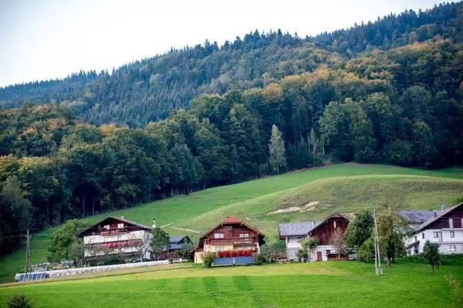 伪摄影师与真正的摄影师,伪摄影师