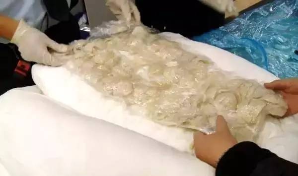 关注︱仅为含饴弄孙，为何这对中国老夫妇被新西兰禁止入境？罪魁祸首竟然指向它！