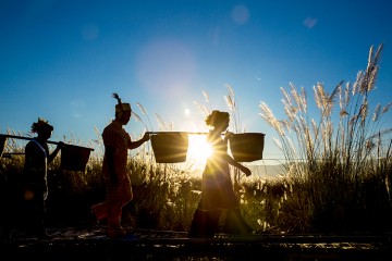 手机旅行vlog摄影教学视频,手机摄影旅行vlog海边