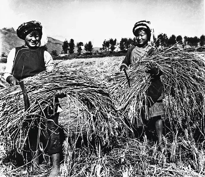 云南白族的简介,云南民族历史