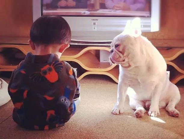 佳能4000到5000最值得入手的微单,微单相机推荐3000至4000