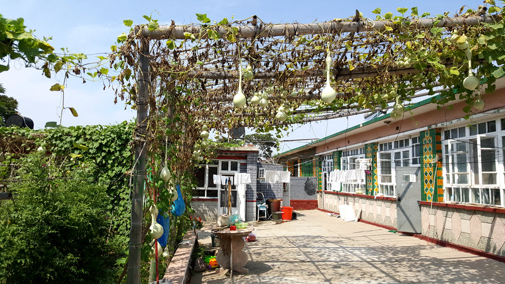 乐亭碧海渔家,乐亭碧海渔家怎么样