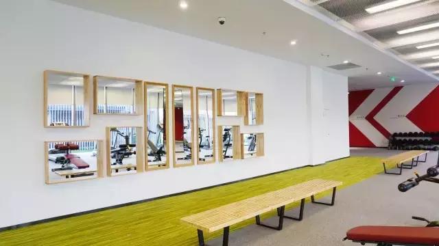 那些年我在新浪上班的故事（内部图大曝光）