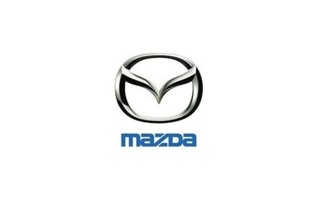 未来能在中国存活下来的合资车企,盘点已经破产了中国品牌车企