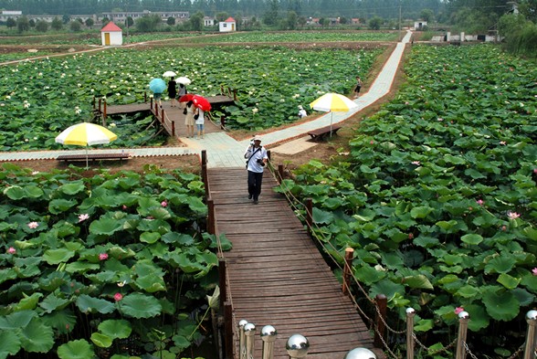 安徽省内有什么湖泊景点,安徽省十大湖泊排名
