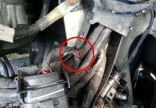 女车主车内传来恶臭,女司机车内传来阵阵臭味