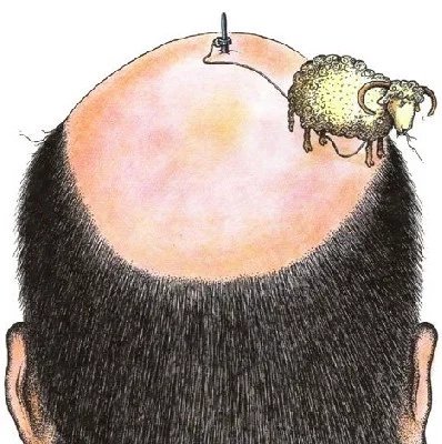 生姜到底是可以治脱发还是生发,生姜治脱发亲身经历