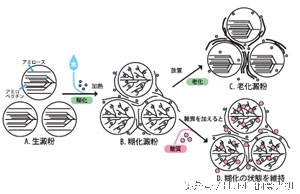 冰皮月饼预拌粉冷藏后变硬怎么办,冰皮月饼的皮冷冻后变硬怎么解决