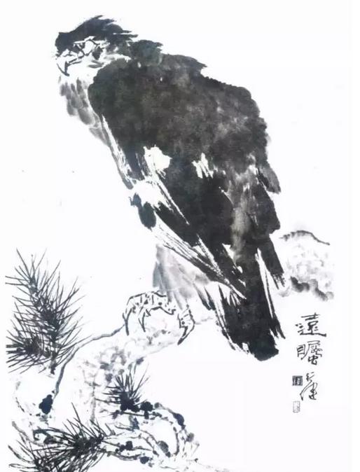 国画之鹰作品大全大图,国画大写意鹰图片大全