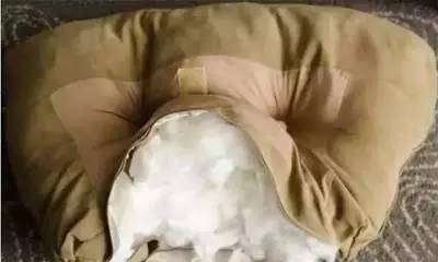 沙发塌陷回弹怎么办,沙发没用多久就感觉塌陷怎么办