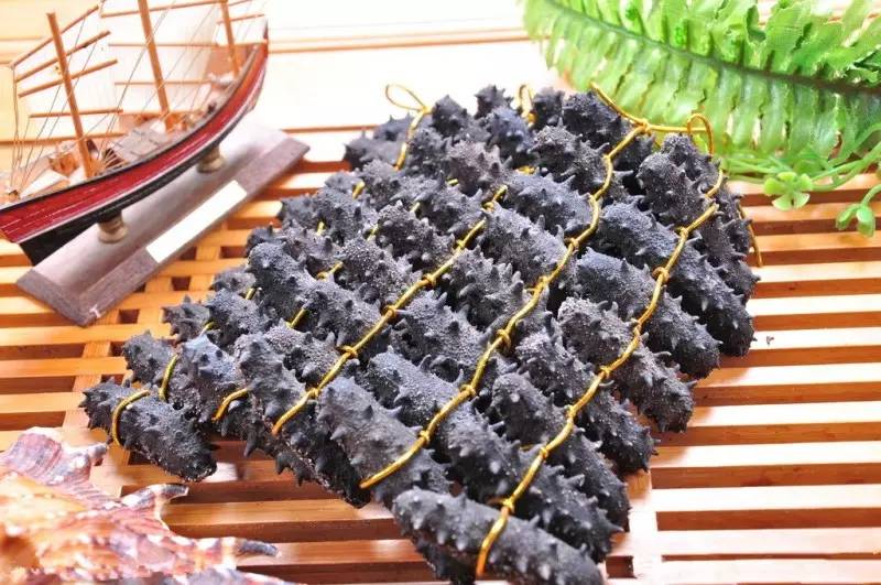 最有名的辽参,辽参真的那么好吗