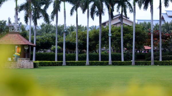 三亚万豪度假酒店攻略,面朝大海三亚