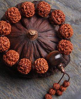 尼泊尔大金刚菩提6瓣18颗手持 (尼泊尔哪个地方的金刚菩提最好)