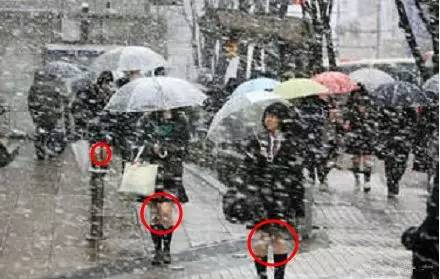 冻成狗怎么取暖,冻成狗怎么降温