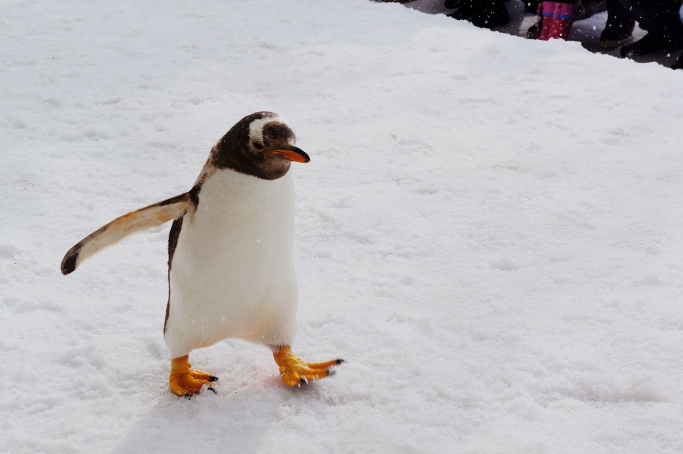 glove门将手套,关于手套glove的故事