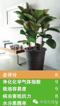 雾霾天室内空气真的比室外好吗,室内防止雾霾的小妙招