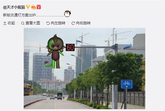 能与美猴王媲美的猴子,真正的美猴王有多强