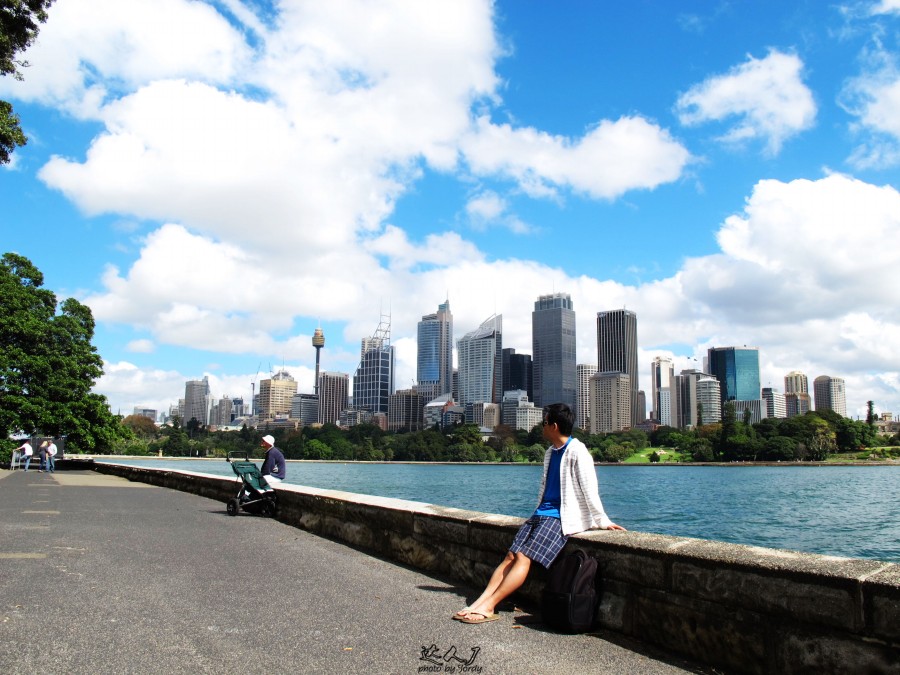 悉尼是啥味道,悉尼盐蚝