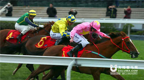 香港评分最高四岁赛驹“首饰太阳”勇夺香港经典一哩赛冠军