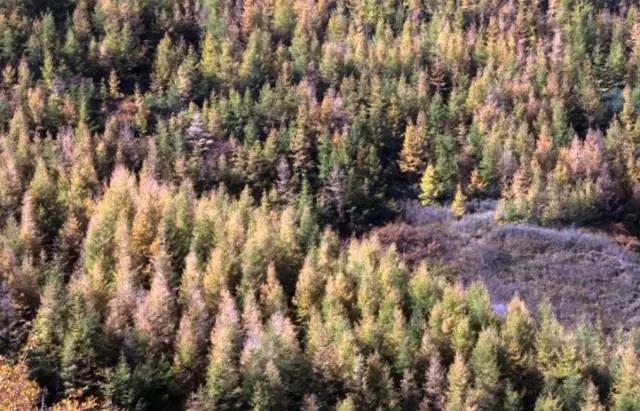 吴承恩为了什么要写西游记,吴承恩在哪里写西游记的