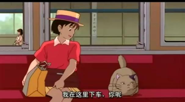 动漫卡通猫的名字,可爱动漫猫图片