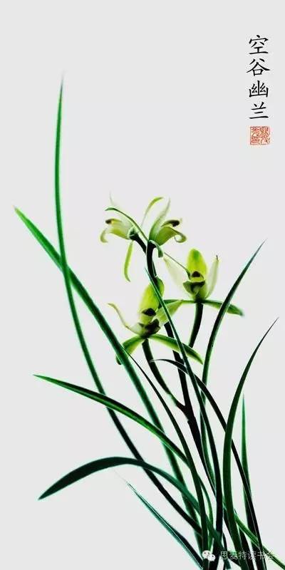 书友佳作｜隐逸在吴江世外桃源的老桥