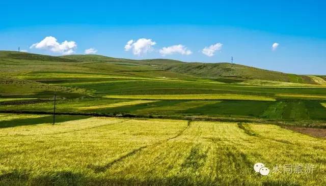 辉腾锡勒黄花沟草原旅游区花海,黄花沟窝阔台草原