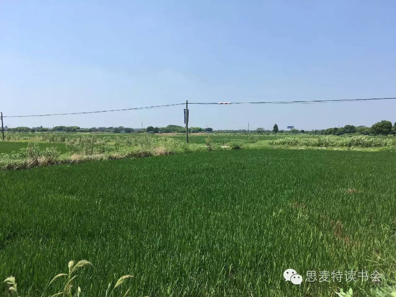 书友佳作｜隐逸在吴江世外桃源的老桥