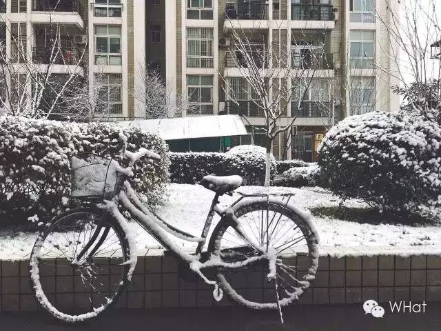 武汉只下一天雪吗,武汉下的是雪吗