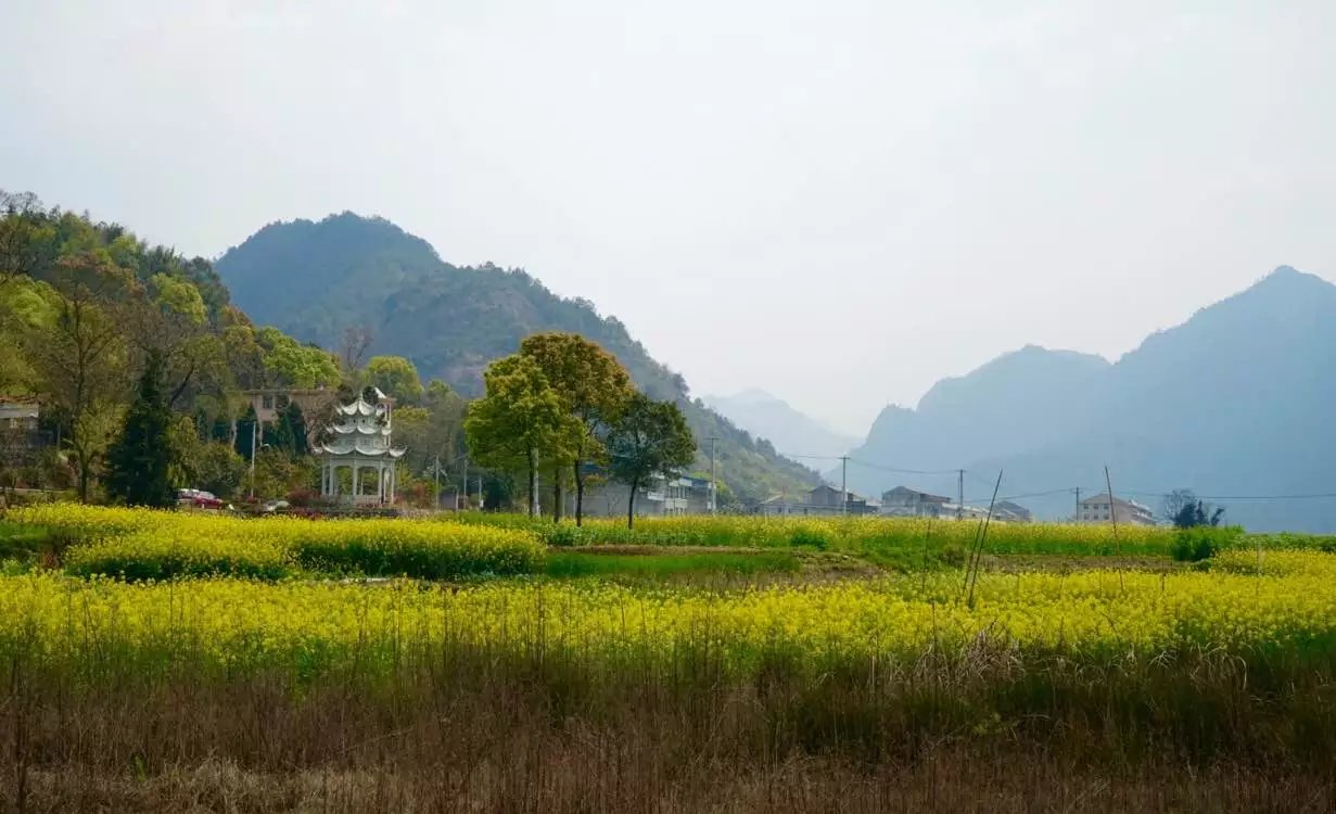 微博为什么会存在被盗风险,微博怎么被盗的
