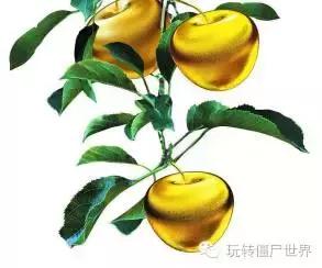 画面粗糙的游戏恐怖,几款好玩的僵尸游戏盘点