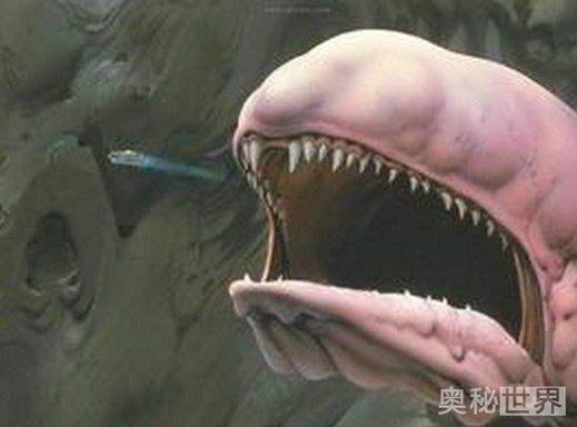 900米长的太空蛞蝓,比太空蛞蝓大的怪物有哪些