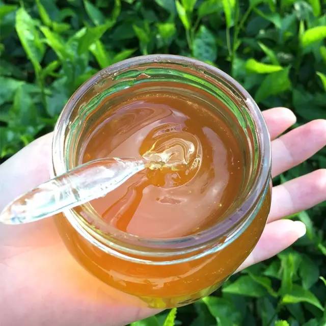 你看起来好像很好吃属于什么电影,你看起来好像很好吃是谁写的